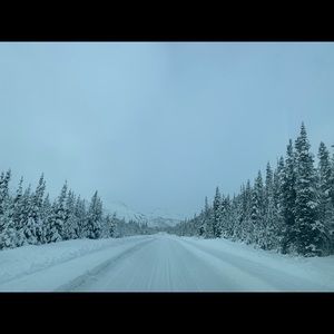 Meet your Posher, Court